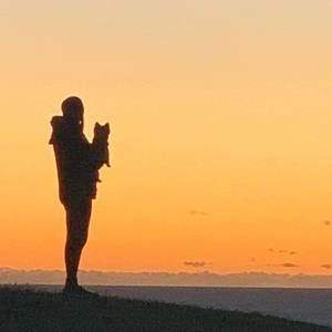 Meet your Posher, Sally